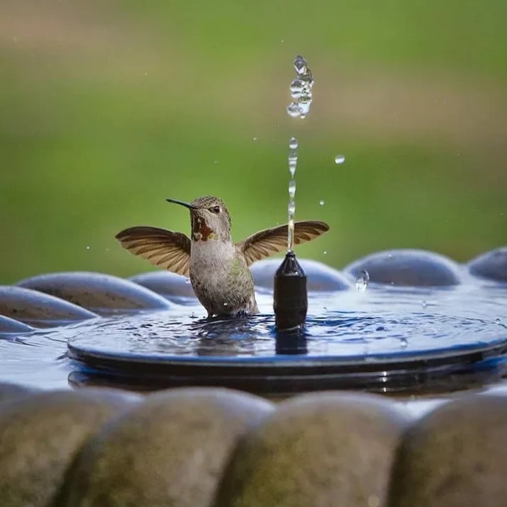 📢📢50% OFF !!!⏰🐦️Compact Solar Bird Fountain Pump – Keep Your Garden Alive!