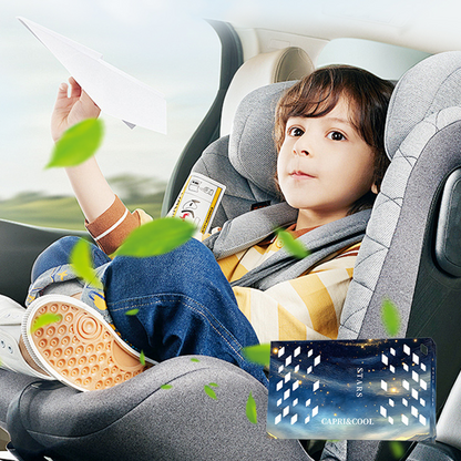 Natural Plant-Based Air Freshener for Room & Car