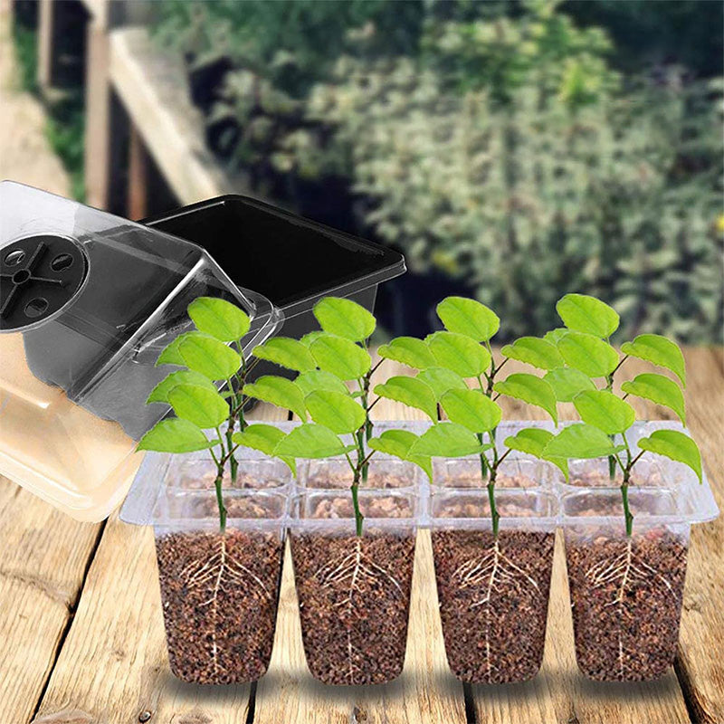 📢📢50% OFF!!⏰Seed Starter Trays with Grow Light