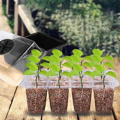 📢📢50% OFF!!⏰Seed Starter Trays with Grow Light
