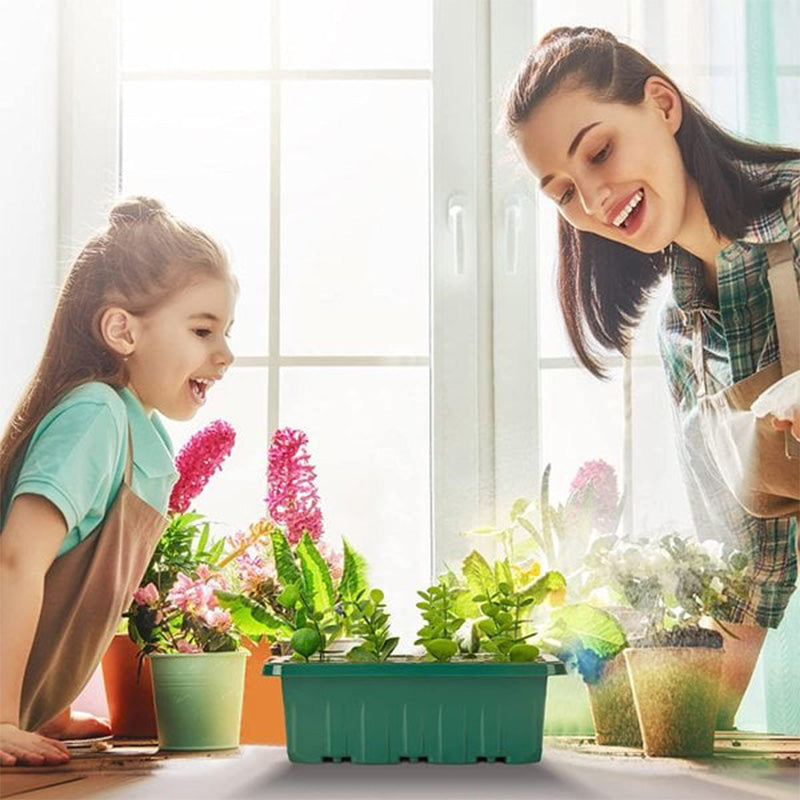 📢📢50% OFF!!⏰Seed Starter Trays with Grow Light