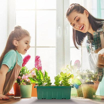 📢📢50% OFF!!⏰Seed Starter Trays with Grow Light