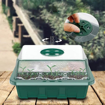 📢📢50% OFF!!⏰Seed Starter Trays with Grow Light