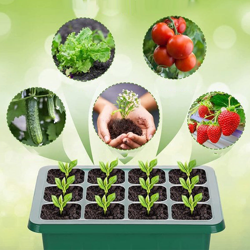 📢📢50% OFF!!⏰Seed Starter Trays with Grow Light