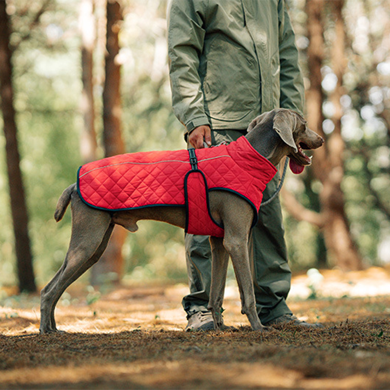 📢📢50 % OFF !!⏰⏰Outdoor Reflective Dog Jacket - Windproof Warm Coat with Secure Leash Opening (Red/Navy)