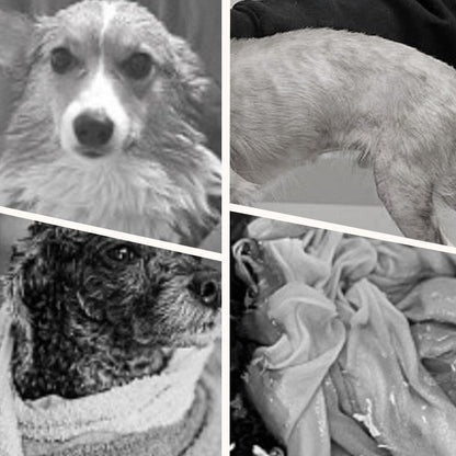 📢📢30% OFF !! ⏰Soft Absorbent and Quick-Drying Dog Bathrobe