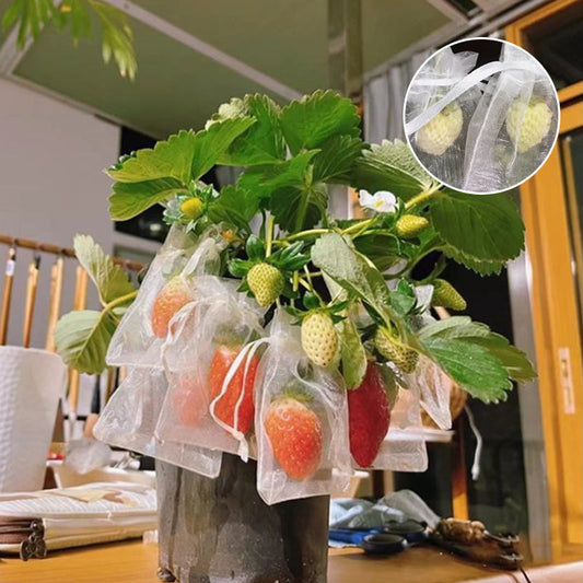Protective Mesh Cover for Fruit Trees
