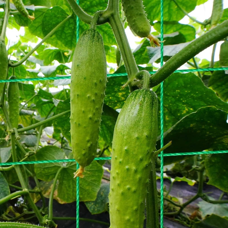 ⏳Limited-time 50% off⏰A-Frame Garden Trellis for Climbing Plants🍇🥒