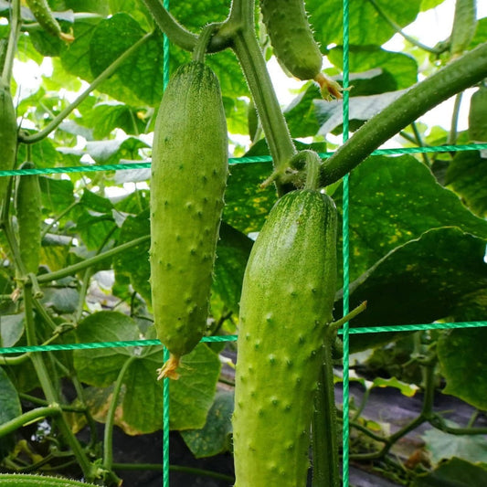 🌿 A-Frame Garden Trellis for Climbing Plants – Sturdy Support for Vines, Flowers & Vegetables 🌸🥒