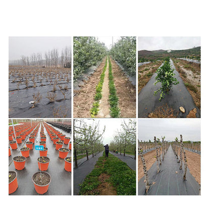 📢📢50% OFF !!!⏰Weed Control Fabric🌿📉