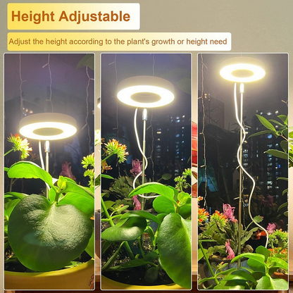 📢📢30% OFF !! ⏰LED Angel Ring Plant Grow Light