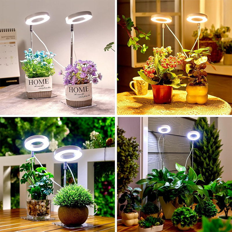 📢📢30% OFF !! ⏰LED Angel Ring Plant Grow Light