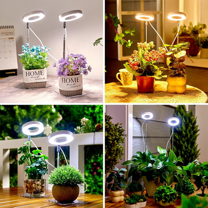 📢📢30% OFF !! ⏰LED Angel Ring Plant Grow Light