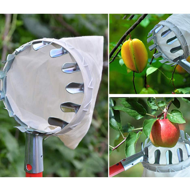 📢📢50% OFF !! ⏰Fruit Picker Head Basket – Durable Design, Easy Attach & Perfect for Reaching High Branches Without a Ladder 🌳