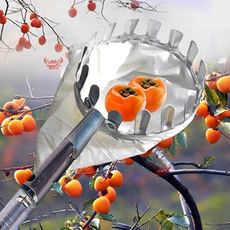 📢📢50% OFF !! ⏰Fruit Picker Head Basket – Durable Design, Easy Attach & Perfect for Reaching High Branches Without a Ladder 🌳