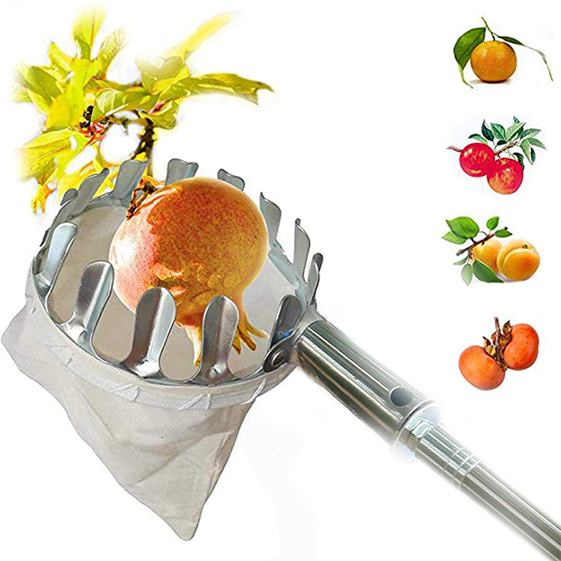 📢📢50% OFF !! ⏰Fruit Picker Head Basket – Durable Design, Easy Attach & Perfect for Reaching High Branches Without a Ladder 🌳