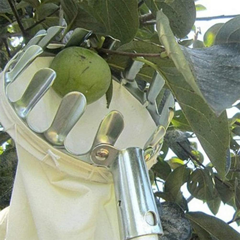 📢📢50% OFF !! ⏰Fruit Picker Head Basket – Durable Design, Easy Attach & Perfect for Reaching High Branches Without a Ladder 🌳