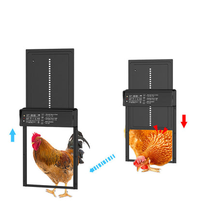 📢📢40% OFF !! ⏰Solar Automatic Chicken Coop Door